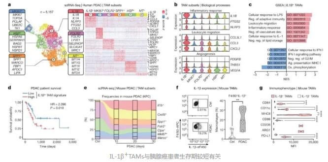 Nature-2023-623-IL-1β-數據截圖1